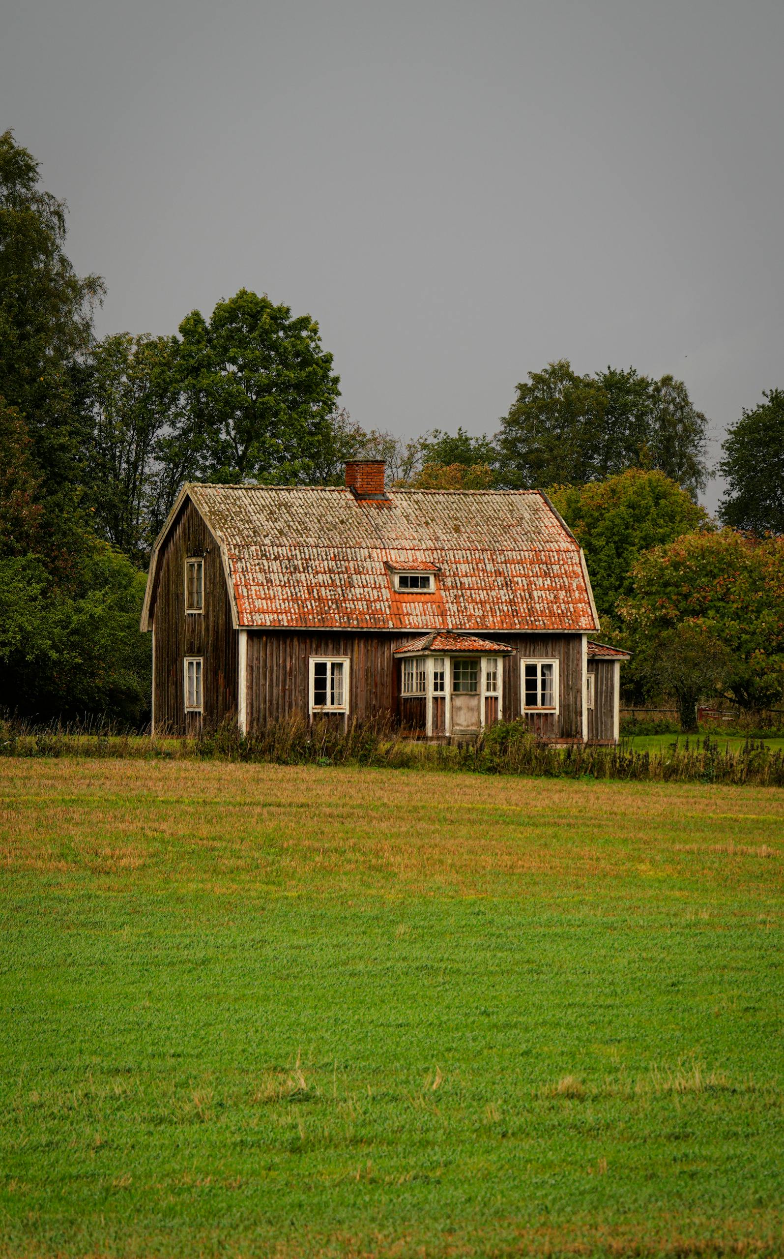 Rustic old house surrounded by greenery and trees in a peaceful countryside setting.